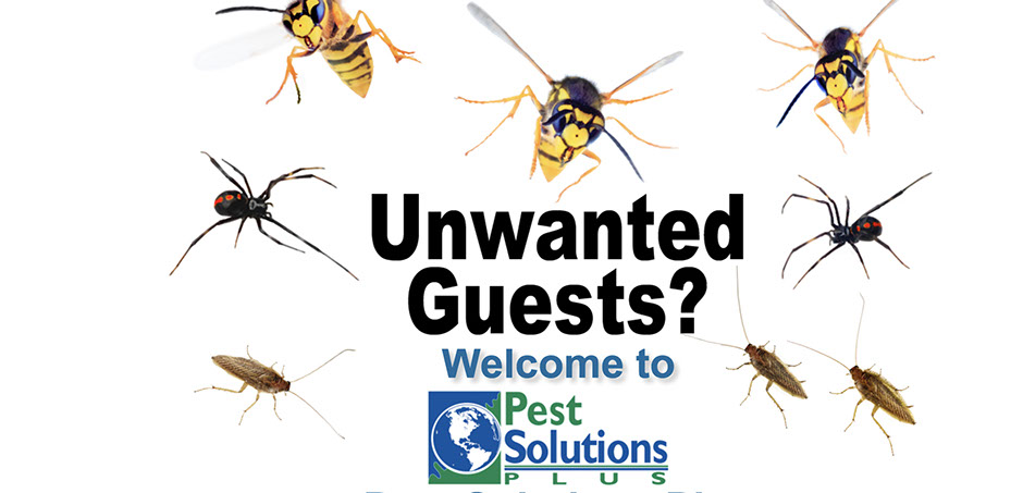 Some examples of branding websites we have created to help people identify with our clients. 